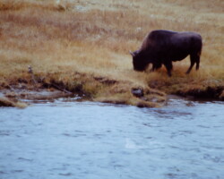 Breakfast on the Yellowstone